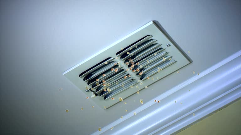 Best Affordable Air Duct Cleaning  in Middlesex, NJ